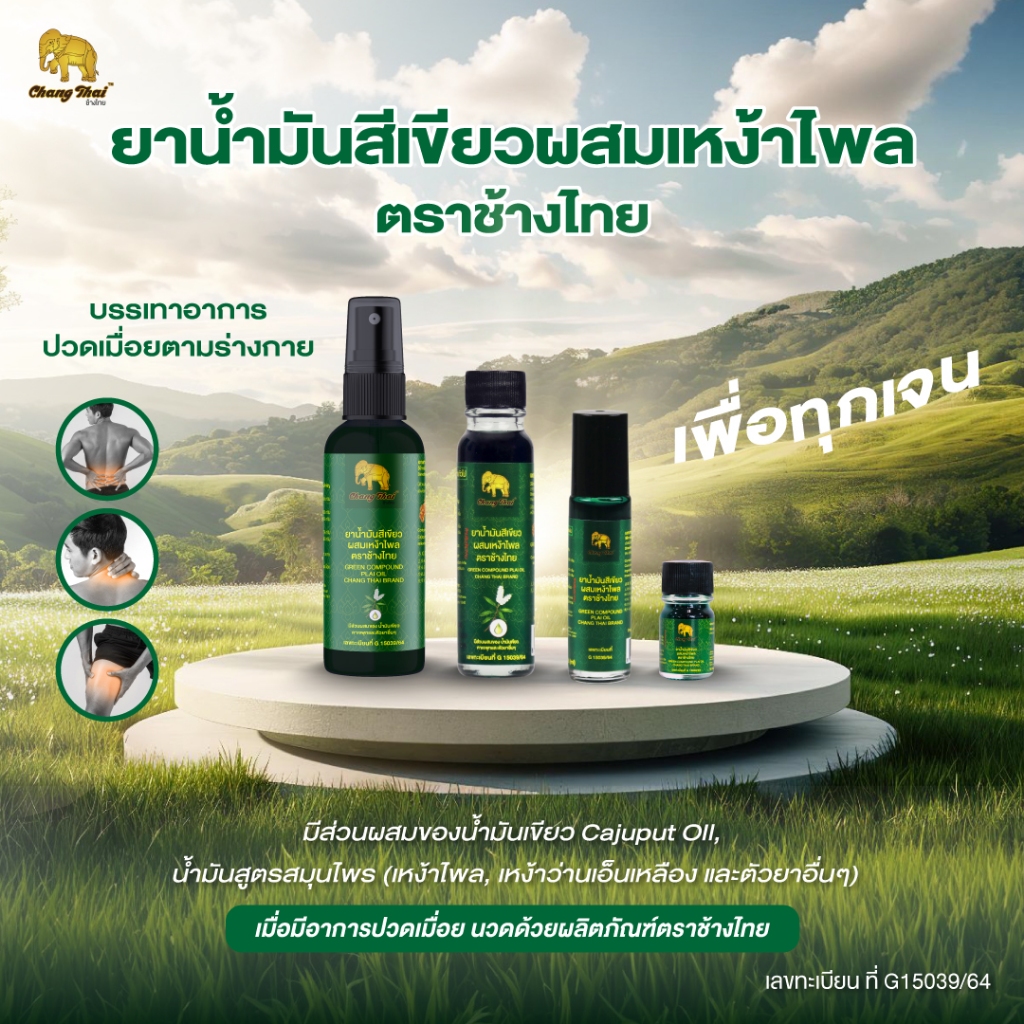 [บริษัทโดยตรง] ยาน้ำมันสีเขียวผสมเหง้าไพล ตราช้างไทย บรรเทาอาการปวดเมื่อยตามร่างกาย น้ำมันนวด