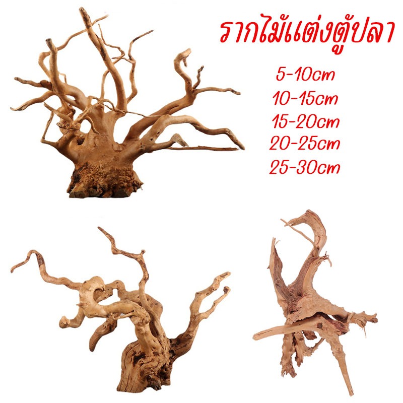 ไม้แต่งตู้ปลา รากไม้แต่งตู้ปลา ตอไม้ กิ่งไม้ รากไม้แต่งตู้ปลา ทำlayout เลย์เอาท์ตู้ปลา ตกแต่งตู้ปลา 
