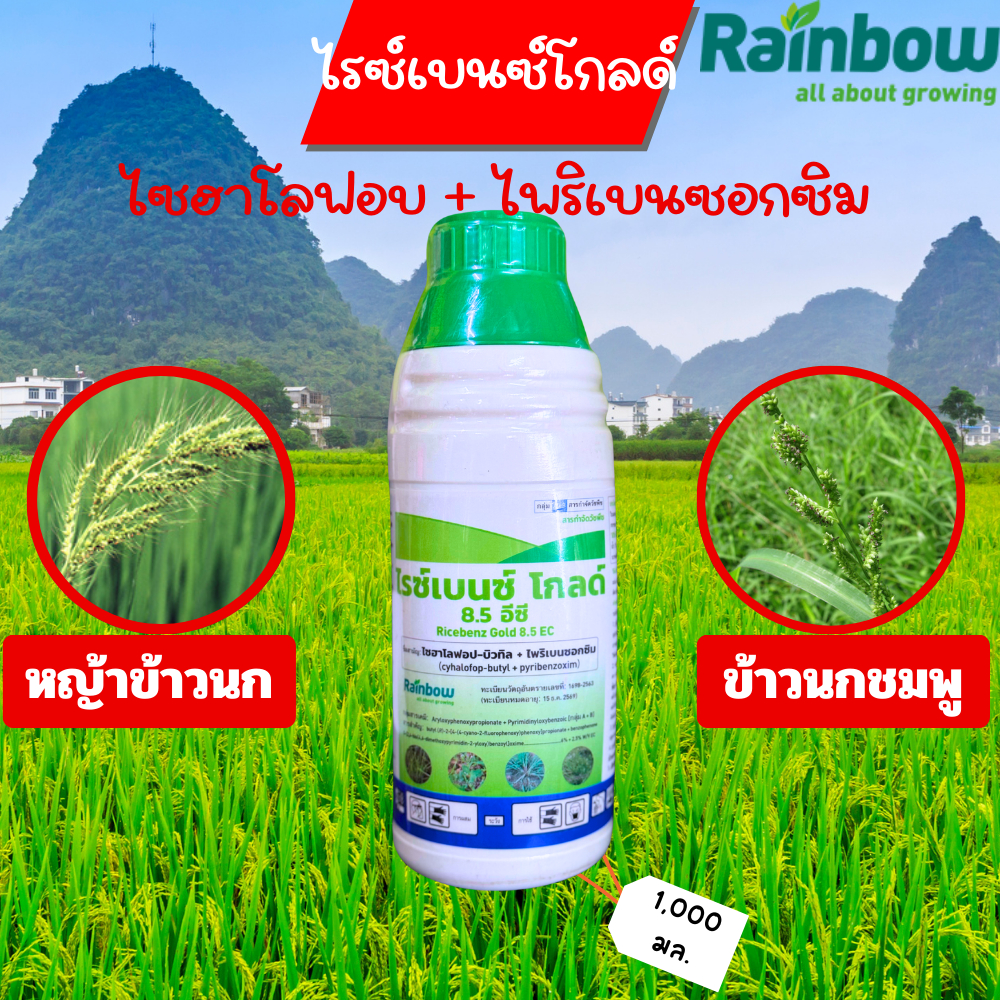 ไรซ์เบนซ์โกลด์ 1 ลิตร สารไซฮาโลฟอป-บิวทิล + สารไพริเบนซอกซิม