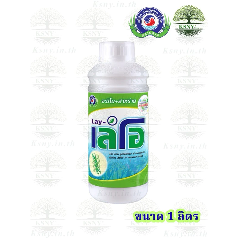 เลโอ (ขนาด 1 ลิตร) เทพวัฒนา สาหร่ายสีเขียวเข้มข้นผสมกับอะมิโน