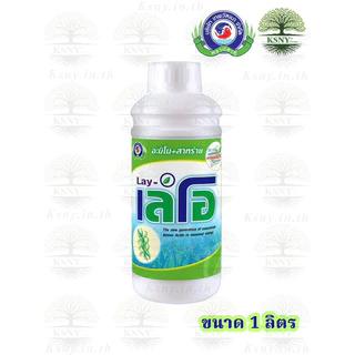 เลโอ (ขนาด 1 ลิตร) เทพวัฒนา สาหร่ายสีเขียวเข้มข้นผสมกับอะมิโน