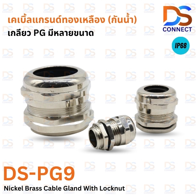 DS-PG9 Cable Gland Nickel Brass With Locknut เคเบิลแกรนด์ทองเหลืองชุบนิกเกิลเกลียว PG9