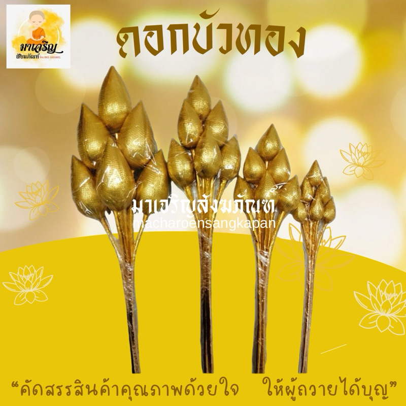 ดอกบัวเงิน​ ดอกบัวทอง