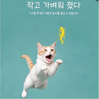 Petdea ไม้ตกแมว 🐍 งู-จิ้งจก🦎เรืองแสง (เปิดตัวงาน Pet Expo2025) จากเกาหลี ทำจากข้าวโพด ปลอดภัยกับน้องแมว กินได้ เลียได้