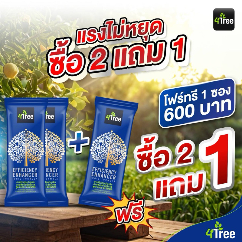 [ ส่งไว❤️แท้เช็ครหัสได้] 4Tree โฟร์ทรี สารเพิ่มประสิทธิภาพพืช Amino Black อะมิโนแบล็ค Amino Gold อะม
