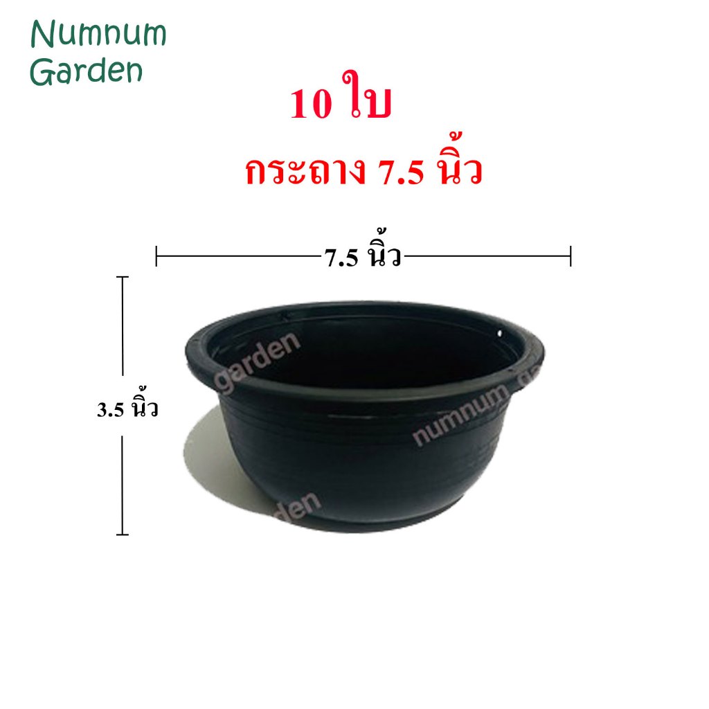 10 ใบ กระถางแบน 7.5 นิ้ว ปากกว้าง เพาะเมล็ด กระถางแคคตัส กระบองเพชร ถางเตี้ยกลม