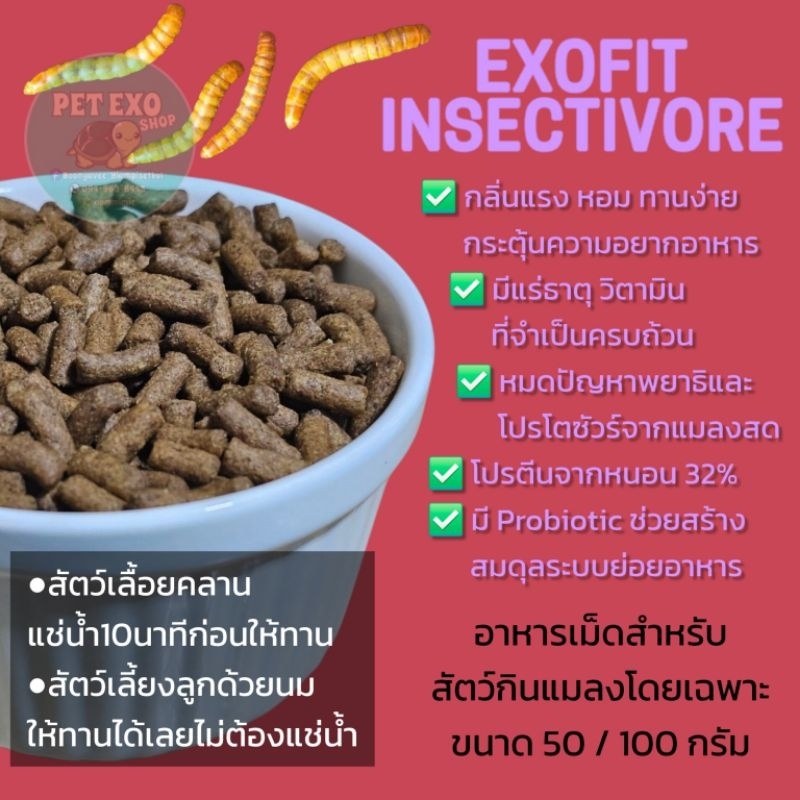 🐛[สินค้าออกใหม่‼️]exp05/2026อาหารเม็ดสัตว์กินแมลงExofit Insectivore ขนาด 50/100กรัม พร้อมส่ง🐀🐿🦔🐒🦎