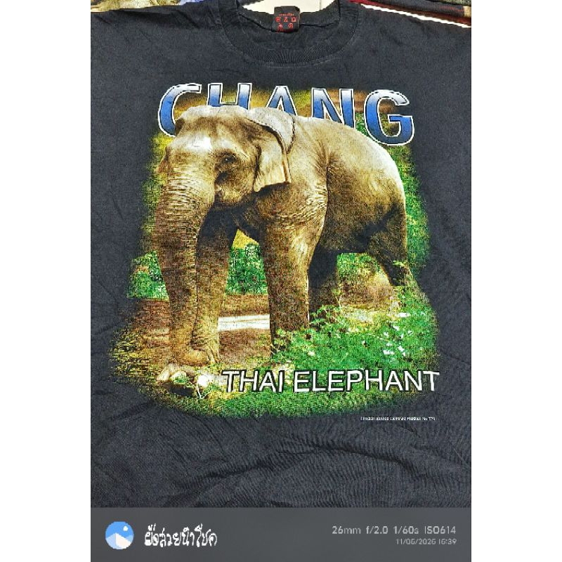 D37❤️รอบอก46 ยาว28" 🆕งานThailand ช้าง เสื้อยืดมือ2 แบรนด์ วินเทจ การ์ตูน วง ลายมันส์ ราคาถูก สภาพดี 
