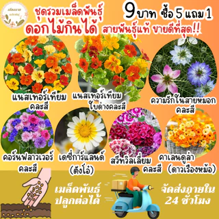 เมล็ดพันธุ์ ขายดีติดอันดับ Top10 ปลูกง่าย โตไว อัตราการงอกสูง พร้อมส่ง เมล็ดพันธุ์แท้OP นำเข้าจากต่างประเทศ