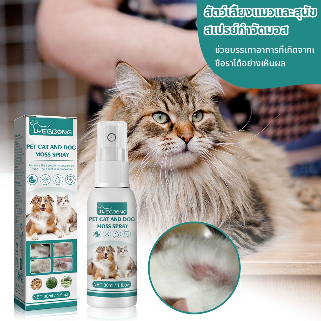 รูปภาพ 4