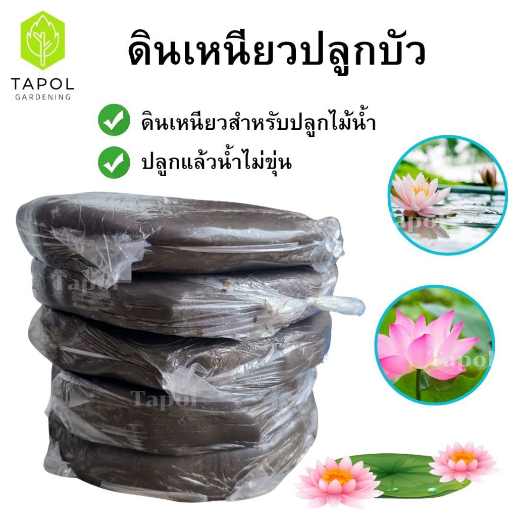 ดินเหนียวปลูกบัว ดินเหนียวอย่างดี ดินบัว ปลูกแล้วน้ำไม่ขุ่น ดินเหนียวสำหรับปลูกไม้น้ำ