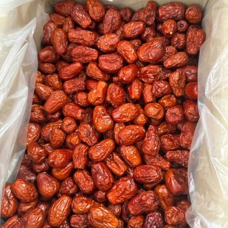 พุทราจีน พุทราจีนไซส์จัมโบ้ ขนาด 500 กรัม เนื้อเยอะ อร่อย พร้อมส่ง