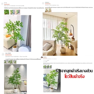 GAIDING-【อัตราการซื้อคืน 99.9%】 ต้นไม้ปลอมใหญ่ ต้นไม้ปลอม-ประดิษฐ์ 120/150cm สไตล์นอร์ดิกอิน ไม่ต้องบำรุงรักษา