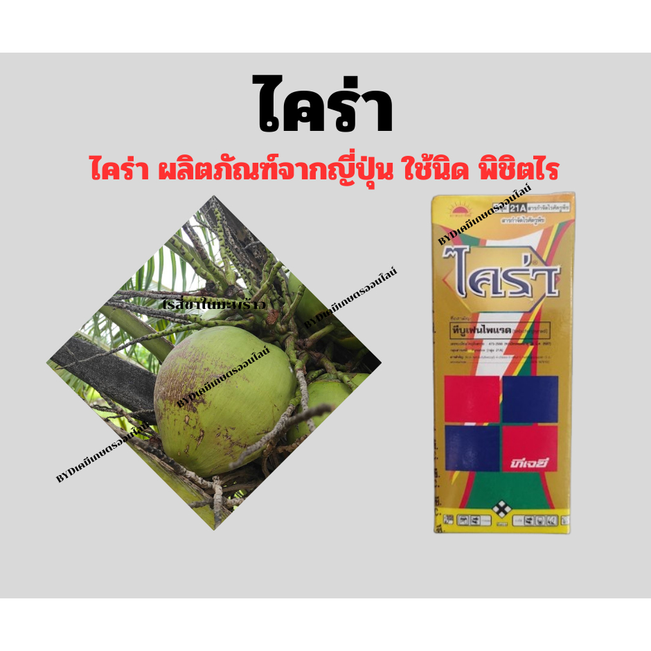 ไคร่า ขนาด100ซีซี สารทีบูเฟนไพเเรด 36%EC ใช้นิดฤทธิ์เยอะ กำจัดไรศัตรูพืชทุกประเภท - รูปที่ 2