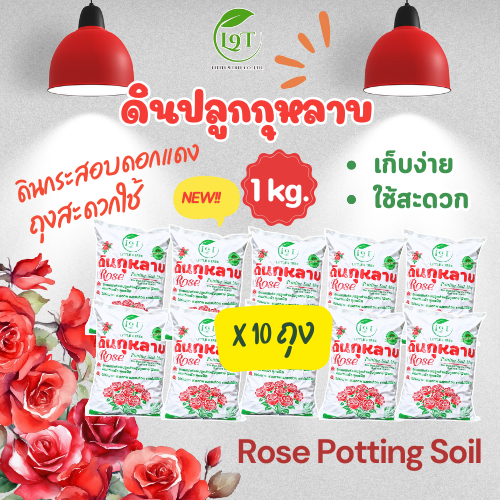 (เซท10ถุง รวม 10kg) NEWดินปลูกกุหลาบพร้อมใช้1kgดินกระสอบดอกแดงขนาดสะดวกใช้ ส่วนผสมกว่า10ชนิดRose Potting Soilปลูก VDO