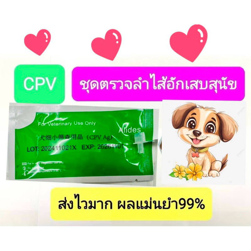 ชุดทดสอบลำไส้สุนัขcpv testแม่นยำารู้ผลไว