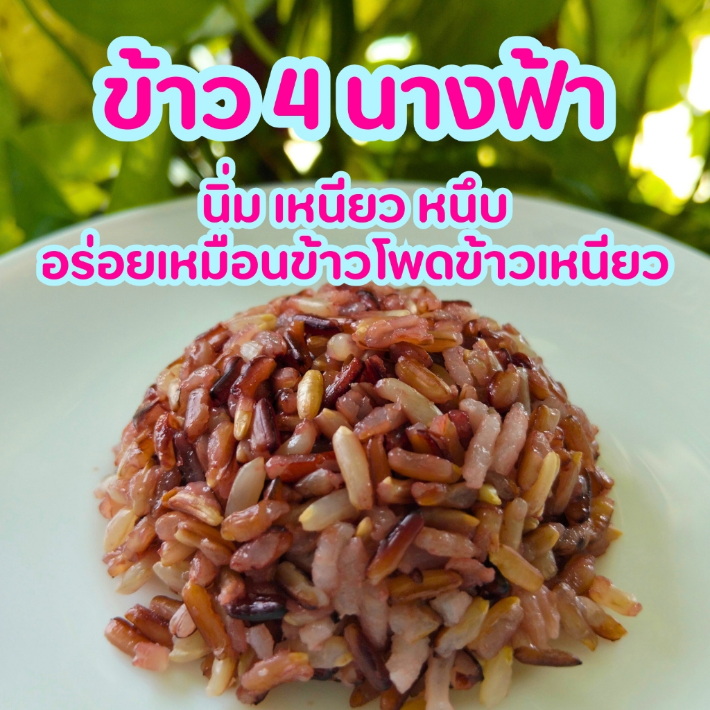 ข้าว 4 นางฟ้า ข้าวผสม ข้าวลืมผัว ไรซ์เบอร์รี่ ข้าวซ้อมมือ รูปที่ 3