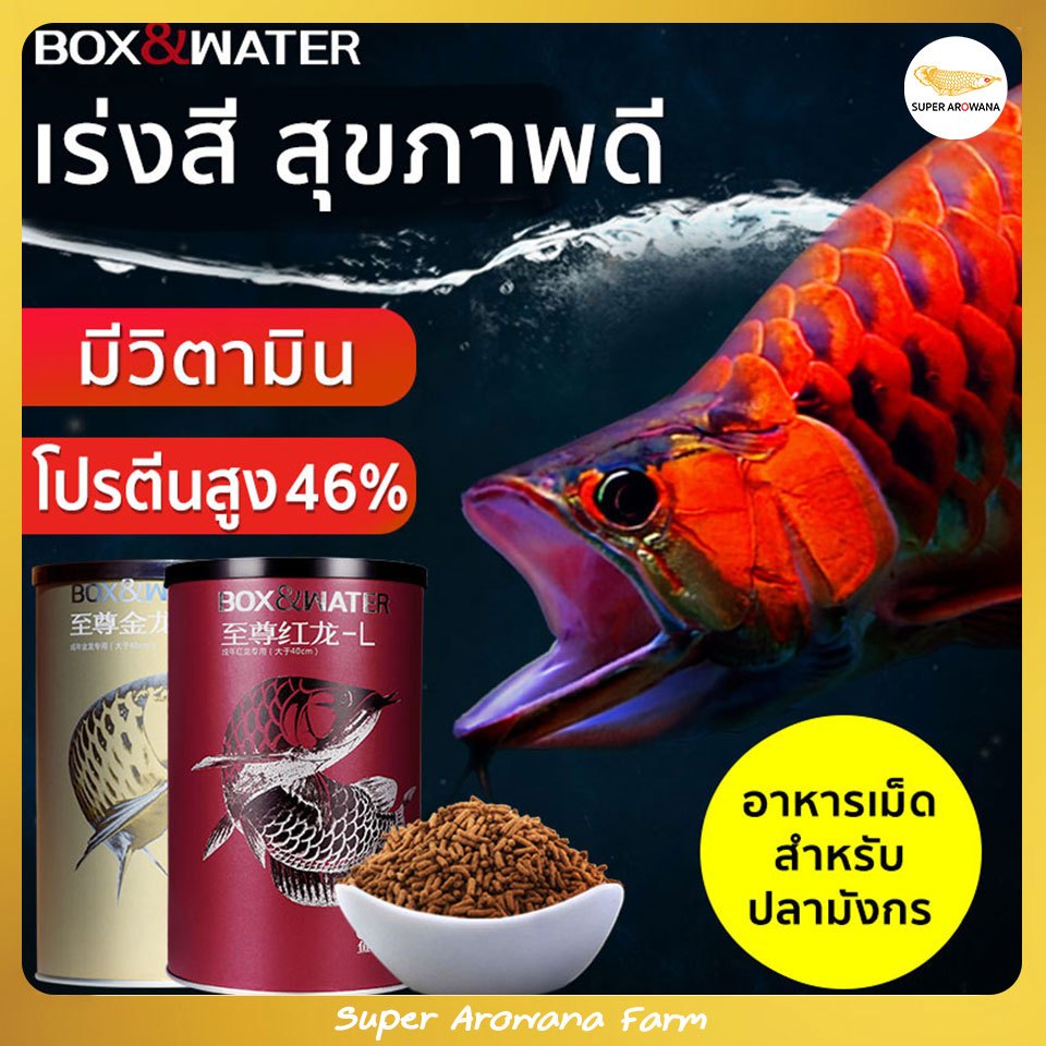 [แท้100%] BOX&WATER โปรตีนสูง 46% ช่วยเร่งสี มีวิตามิน นำเข้าเกรดพรีเมี่ยม อาหารเม็ดปลามังกร
