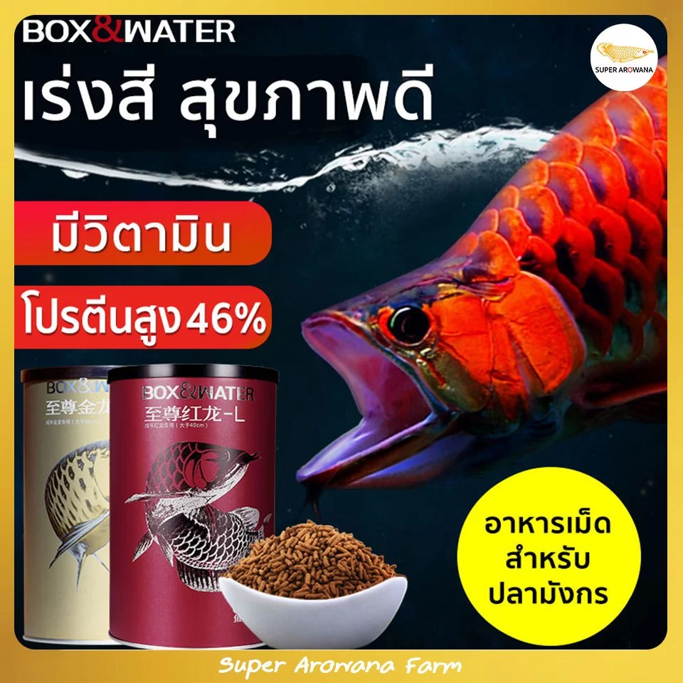 [แท้100%] BOX&WATER โปรตีนสูง 46% ช่วยเร่งสี มีวิตามิน นำเข้าเกรดพรีเมี่ยม อาหารเม็ดปลามังกร