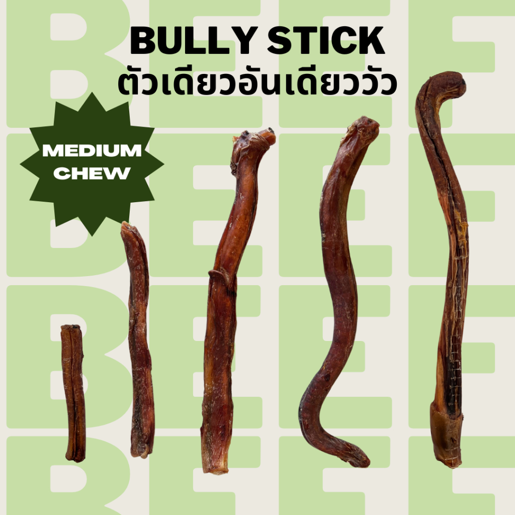 ตัวเดียวอันเดียววัว ขนมแทะหมาอบแห้ง แก้เบื่อ ขัดฟัน Bella's Bites Bully Stick Chew for Dogs