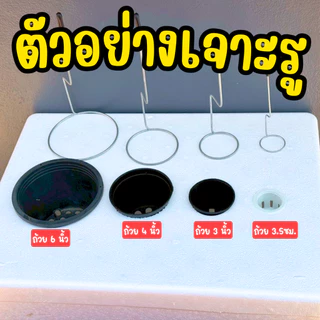 ที่เจาะรูปลูกผักไฮโดรโปนิกส์ 5 ขนาด ชุดที่เจาะรู 5 ขนาด เจาะรูกล่องโฟมปลูกผักไฮโดรโปนิกส์