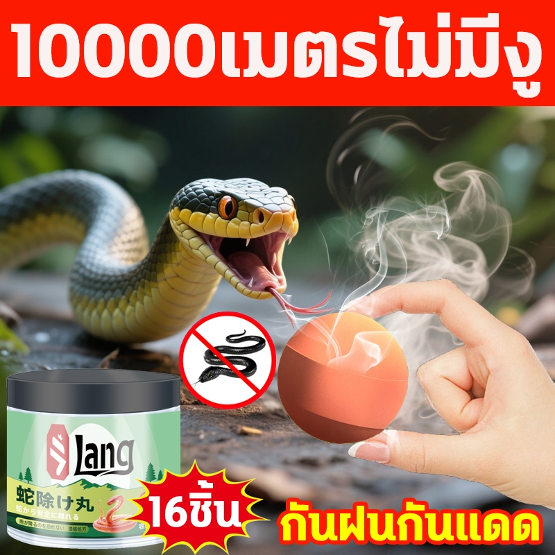 🐍ทิ้งไว้เลย งูไม่มาอีก🐍ไล่งู ก้อนไล่งู ยาไล่งู ยาป้องกันงู 16ชิ้น รวดเร็วและมีประสิทธิภาพ ใช้วางป้องกันไม่ให้งูเข้าใกล้
