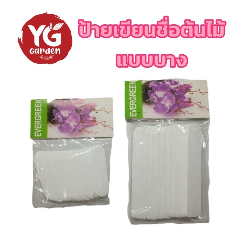 ป้ายเขียนชื่อต้นไม้แบบบาง มี 2 ขนาด จำนวน 100 ชิ้น – โปรปัง