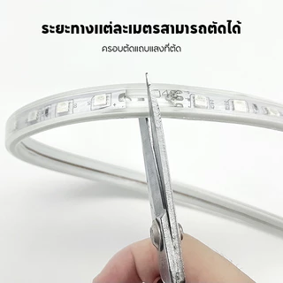 ฟรี! ปลั๊ก+รีโมท แถวคู่ RGB LED Strip 5050 220V กันน้ำ ไฟเปลี่ยนสี ไฟเส้น ไฟตกแต่งบ้าน ไฟสำหรับตกแต่ง 5/10/15/20M