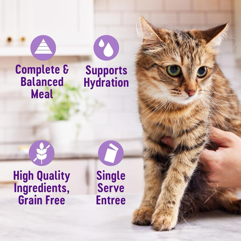 (พร้อมส่ง) อาหารเปียกแมว Wellness Appetizing Entrées ขนาด 40g - รูปที่ 4