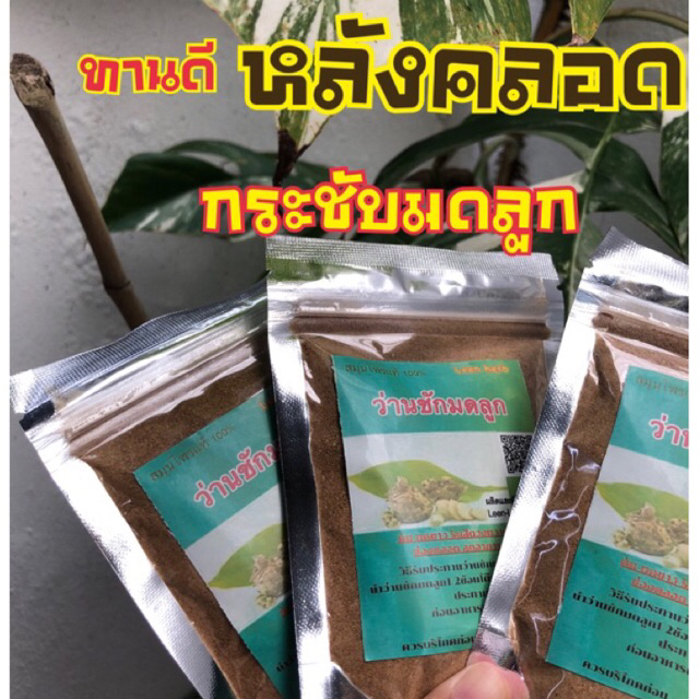 ว่านชักมดลูกผง สมุนไพรแท้ 100% ไม่ผสมน้ำตาล (บรรจุ ถุงซิปล็อค 50 กรัม)