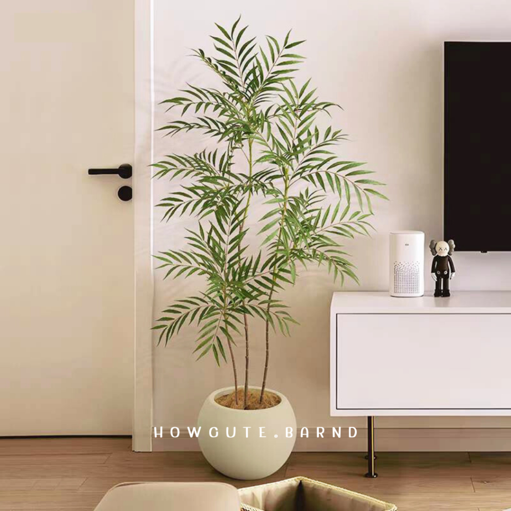 PRE14วันค่ะ BAMBOO PALM (ต้นปาล์มไผ่) ฟอร์มต้นสวย รูปที่ 4