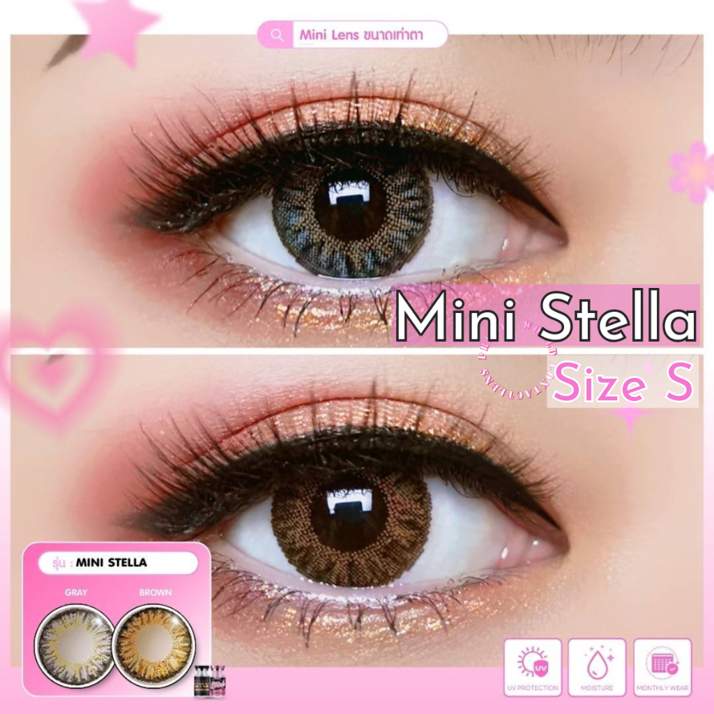 💫 Wink : Mini Stella มินิ mini ตาสวย