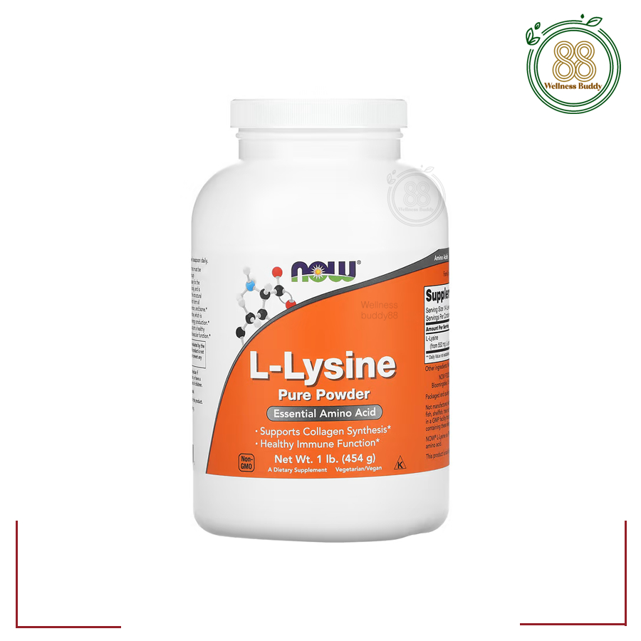 NOW Foods, L-Lysine Pure Powder, 1 lb (454 g)