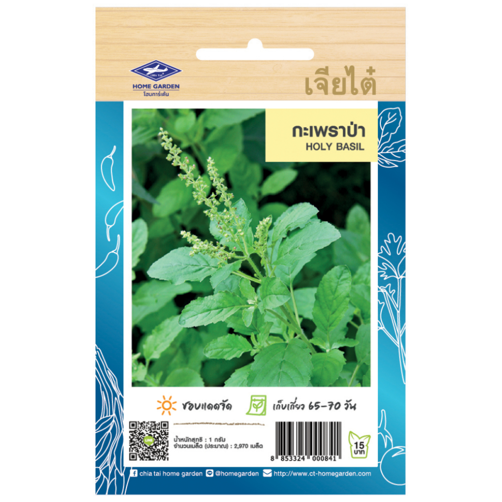 เมล็ดพันธุ์ กะเพราป่า HOLY BASIL ตรา เจียไต๋