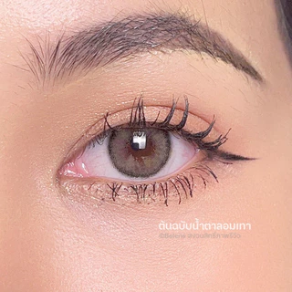 💥[ แถมตลับ Food grade ] Olivia (Brown) ค่าสายตา 0.00-10.00 คอนแทคเลนส์