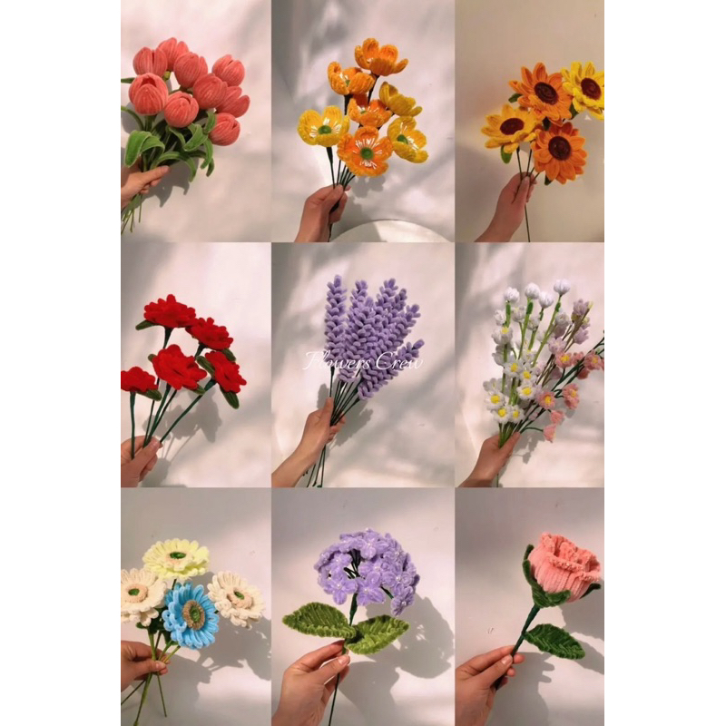 รูปภาพ 6