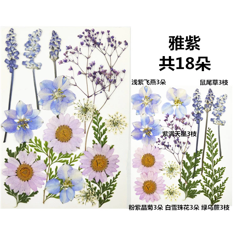 【 🌸 พร้อมส่ง ] 🌸 18pcs ดอกไม้จริงดอกไม้แห้งลายนูนหลายสไตล์ตัวเลือก DIY ทำด้วยมือวัสดุ