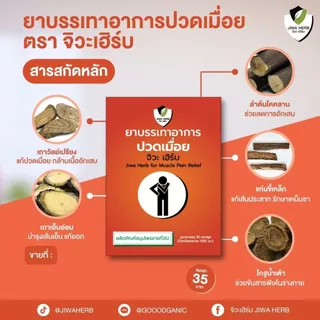 ยาบรรเทาอาการปวดเมื่อย สมุนไพรแก้ปวดเมื่อย ทานแล้วไม่กัดกระเพาะ ยาสามัญประจำบ้าน : จิวะเฮิร์บ