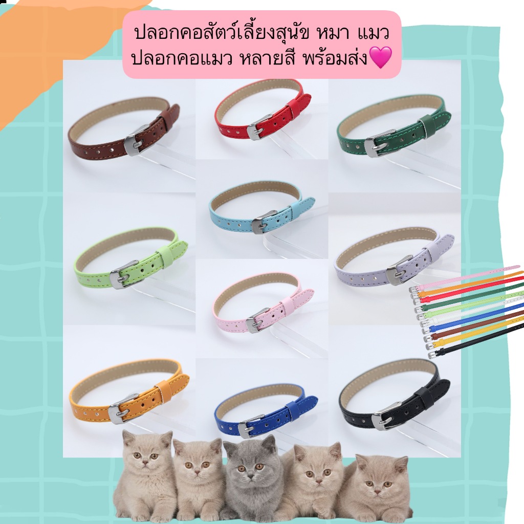 BN-545 ปลอกคอสัตว์เลี้ยง สำหรับหมา & แมว พร้อมกระดิ่งน่ารัก ใส่แล้วดูดีสุด ๆ สายคอปรับขนาดได้ วัสดุคุณภาพ น้ำหนักเบา