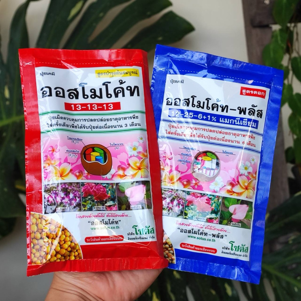 ออสโมโค๊ท Osmocote 13-13-13 ขนาด 100g. ปุ๋ยละลายช้า 3เดือน สูตรเร่งโต บำรุงต้นและใบ
