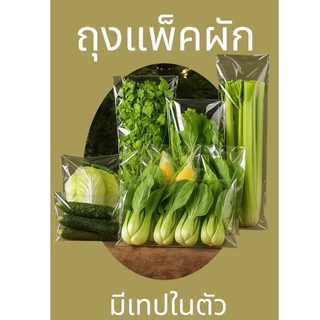 ถุงแพ็คผัก ถุงoppสำหรับแพ็คผัก มีรูระบายอากาศ แพ็ค 100ชิ้น
