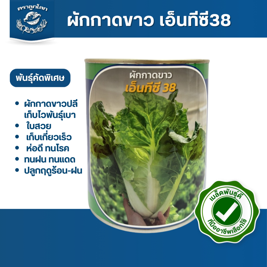 ตราลูกโลก เมล็ดผักกาดขาว เอ็นทีซี38 Chinese Cabbage เมล็ดพันธุ์ผัก ผักสวนครัว ผักซอง