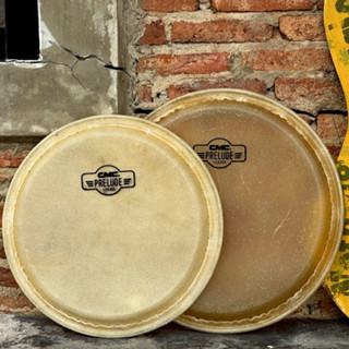 [ส่งจากไทย-🔥] หนังกลองทอมบ้า CMC / Future มีให้เลือก 2 ขนาด …