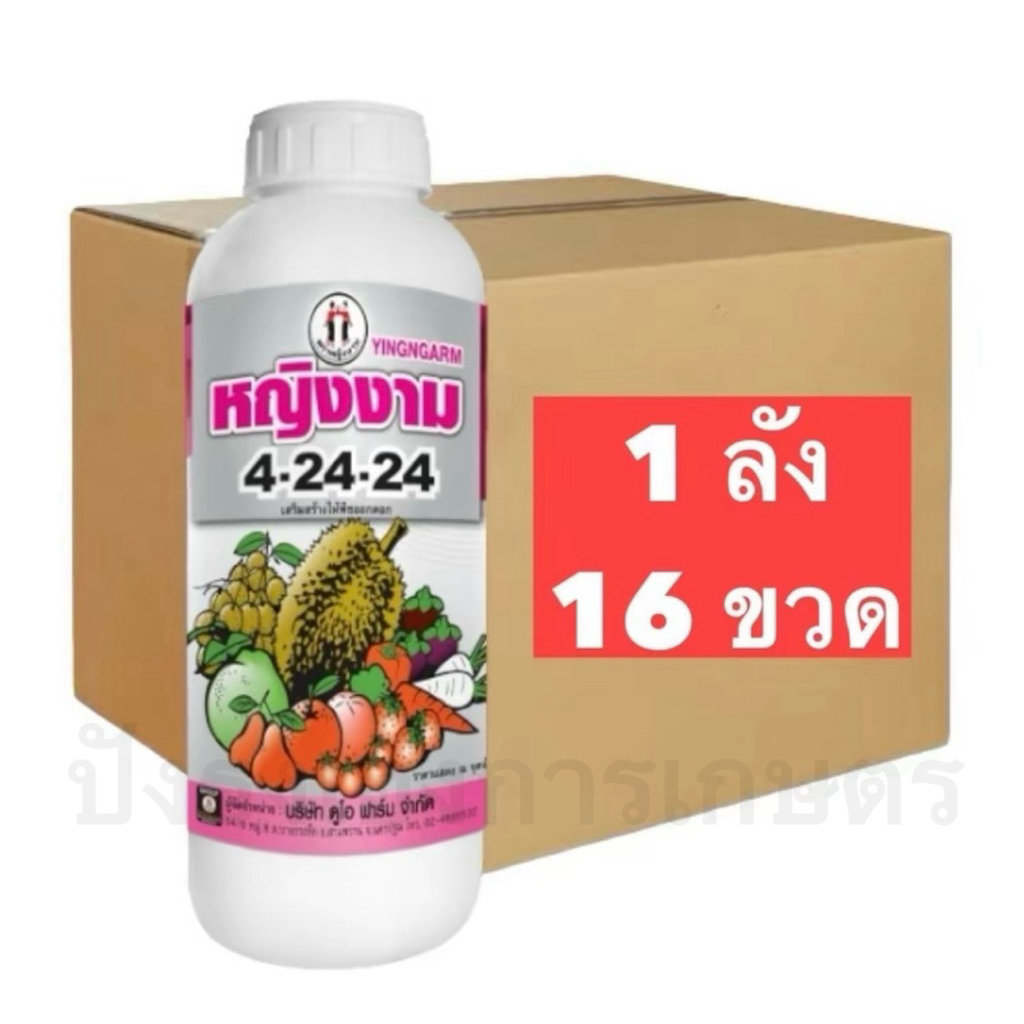 (ยกลัง 16 ขวด) 4-24-24 1 ลิตร ตราหญิงงาม ช่วยสะสมอาหาร ช่วยสร้างตาดอก สร้างแป้ง สร้างน้ำตาล ช่วยขยาย