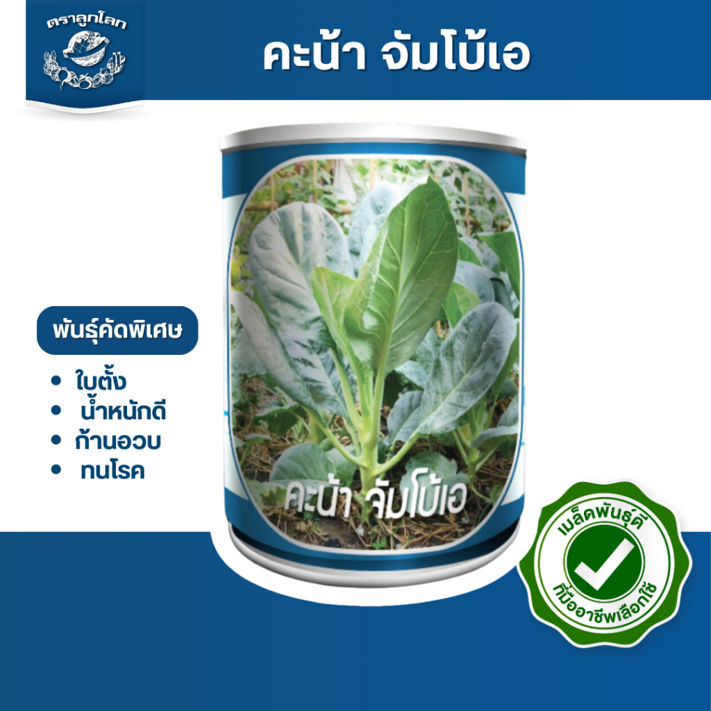 ตราลูกโลก เมล็ดคะน้า จัมโบ้A Kale เมล็ดพันธุ์ผัก ผักสวนครัว ผักซอง