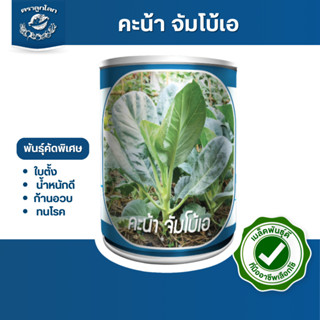 ตราลูกโลก เมล็ดคะน้า จัมโบ้A Kale เมล็ดพันธุ์ผัก ผักสวนครัว …