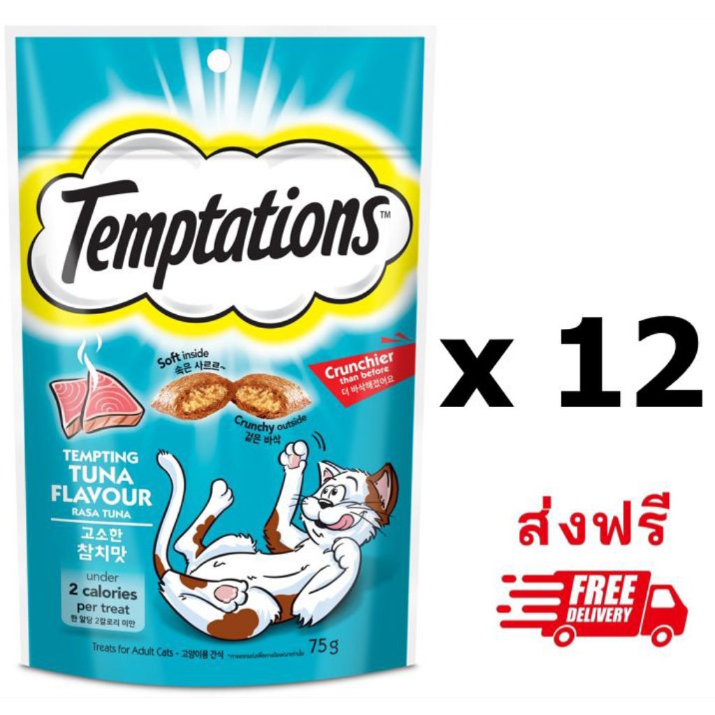 Temptation เทมเทชันส์ รสทูน่า ขนาด 75g.  12 ซอง