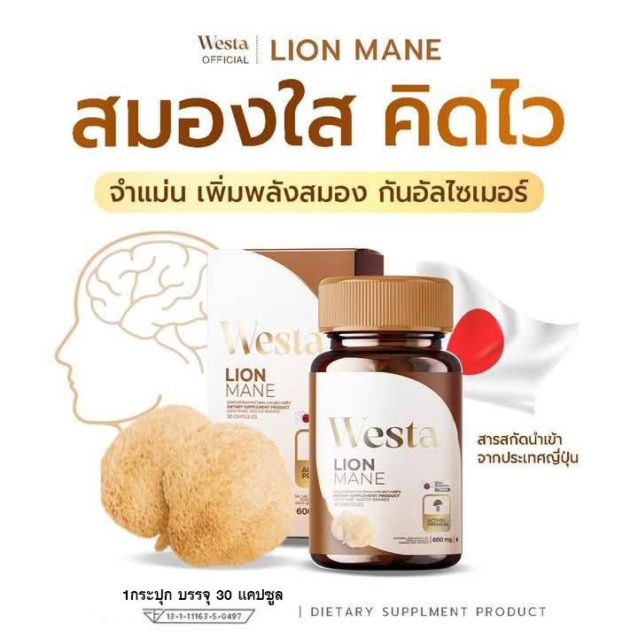 วิตามิน บำรุงสมอง Westa lion mane (เวสต้า ไลออนเมน) สมองใส จำดี คิดไว