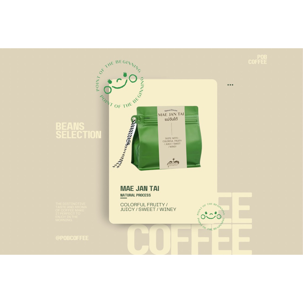 Mae Jan Tai [แม่จันใต้] เมล็ดกาแฟคั่วกลางค่อนอ่อน by Pob Coffee