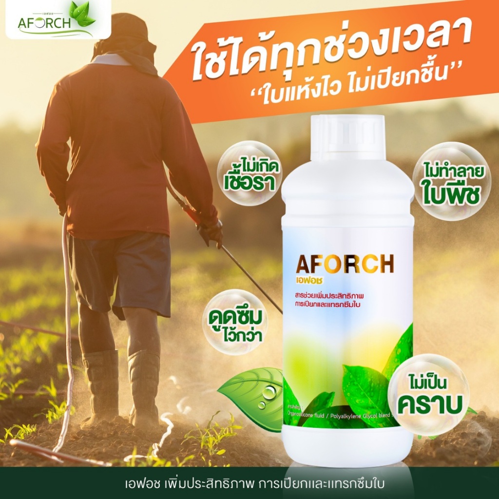 เอฟอช AFORCH สารจับใบ สารนำพา ขนาด 1,000 ซีซี ไม่ทิ้งสารตกค้าง ดูดซึมทันที ช่วยประหยัดค่าปุ๋ย ราคา ถูกที่สุด ดีลบีเคเค แกลเลอรีภาพที่ 5